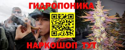 спайс Северобайкальск