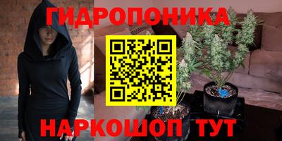 сатива Свободный