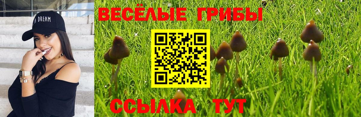 Псилоцибиновые грибы GOLDEN TEACHER  Вход с VPN  Ростов-на-Дону 